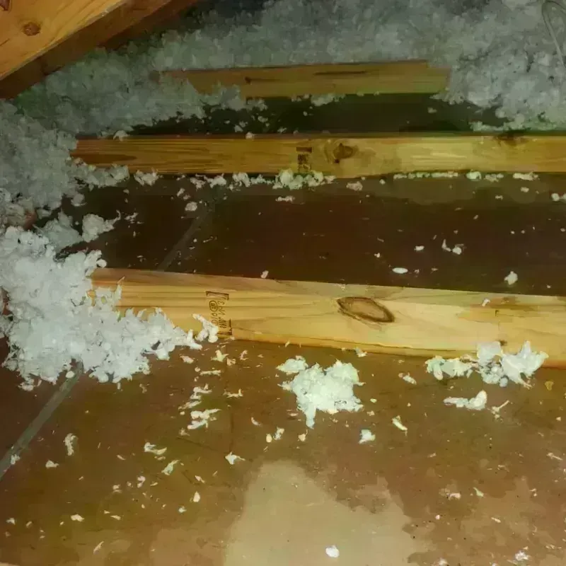 Attic Water Damage in Delhi, CA